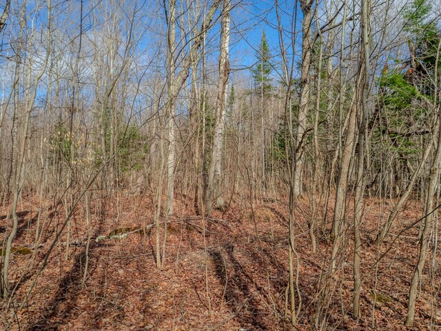 V/L Cooper Rd, Gulliver, MI 49840