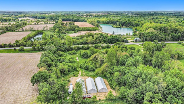 9475 Homer Rd, Litchfield, MI 49252
