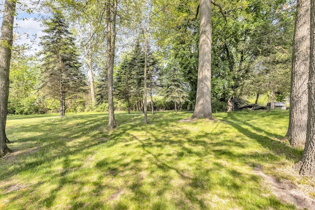 150 Hyde Rd, Clarklake, MI 49234 - view of grassy yard