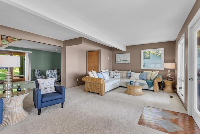 150 Hyde Rd, Clarklake, MI 49234 - carpeted living room featuring healthy amount of natural light