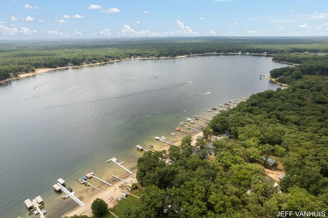 7848 W Minising Point Dr, Baldwin, MI 49304 - aerial view with a water view and a wooded view