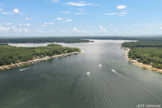 7848 W Minising Point Dr, Baldwin, MI 49304 - bird's eye view featuring a water view and a wooded view