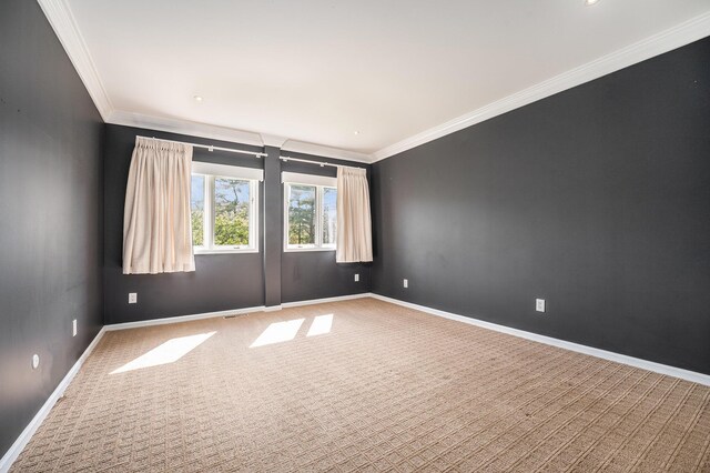 4040 Greenleaf Cir Unit 301, Kalamazoo, MI 49008 - carpeted spare room with crown molding and baseboards