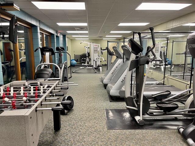 4040 Greenleaf Cir Unit 301, Kalamazoo, MI 49008 - exercise room with carpet flooring and a paneled ceiling
