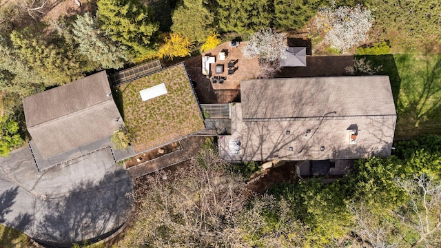 drone / aerial view