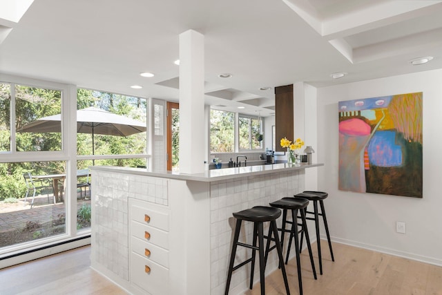 bar with baseboard heating, a sink, baseboards, recessed lighting, and light wood-style flooring