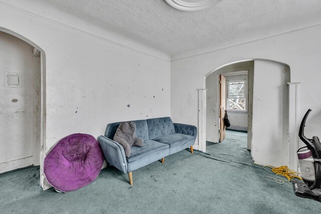 15885 Indiana St, Detroit, MI 48238 - carpeted living area with arched walkways and a textured ceiling