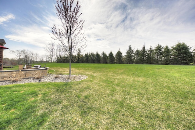 51583 Turnburry Dr, South Lyon, MI 48178 - view of yard