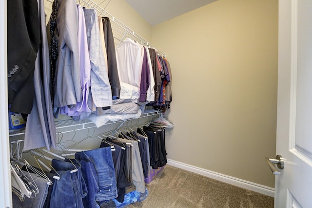 51583 Turnburry Dr, South Lyon, MI 48178 - walk in closet with carpet floors
