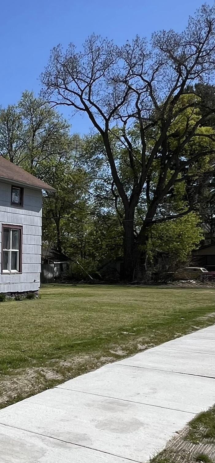 361 E May St, Benton Harbor, MI 49022 - photo 3
