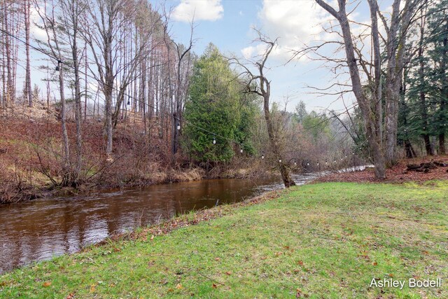 5495 N Karley Ct, Luther, MI 49656 - view of yard