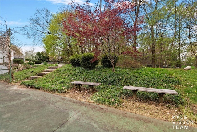 view of home's community