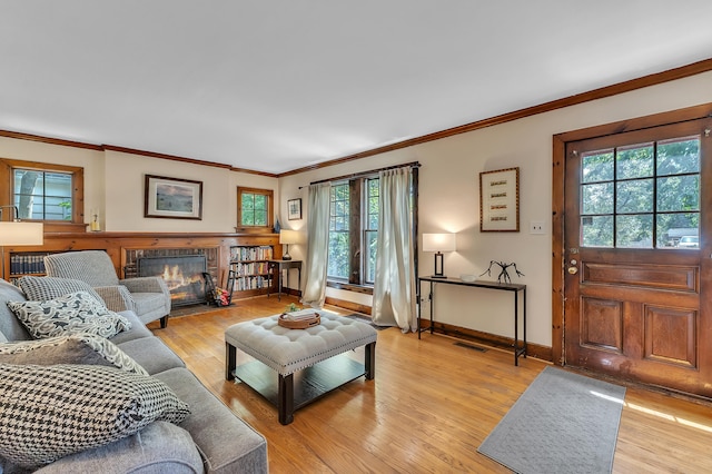 1115 Henry St, Ann Arbor, MI 48104 - living area with ornamental molding, light wood-style flooring, and a fireplace