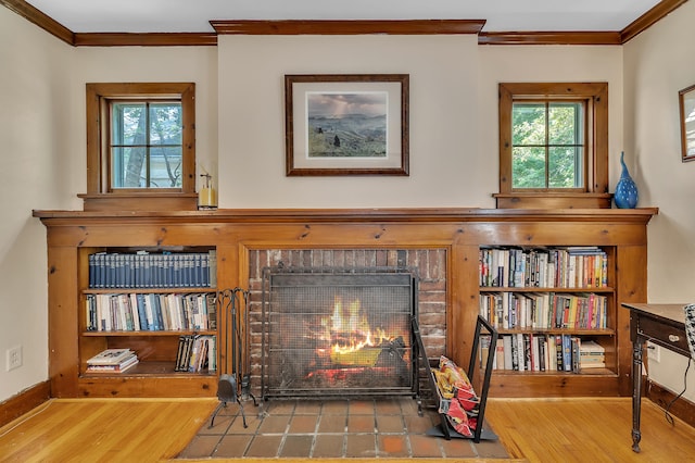 1115 Henry St, Ann Arbor, MI 48104 - detailed view of crown molding, wood finished floors, and a fireplace