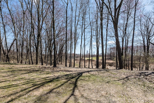 5215 Grande View Ln, Jackson, MI 49201 - view of landscape