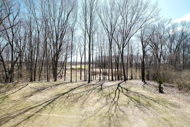 5215 Grande View Ln, Jackson, MI 49201 - view of yard