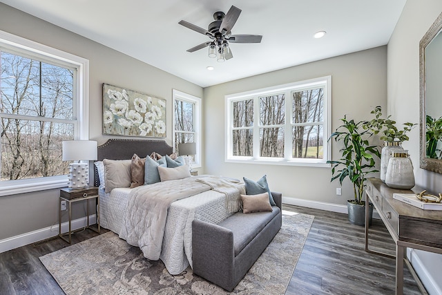 5215 Grande View Ln, Jackson, MI 49201 - bedroom with baseboards, dark wood-type flooring, and multiple windows
