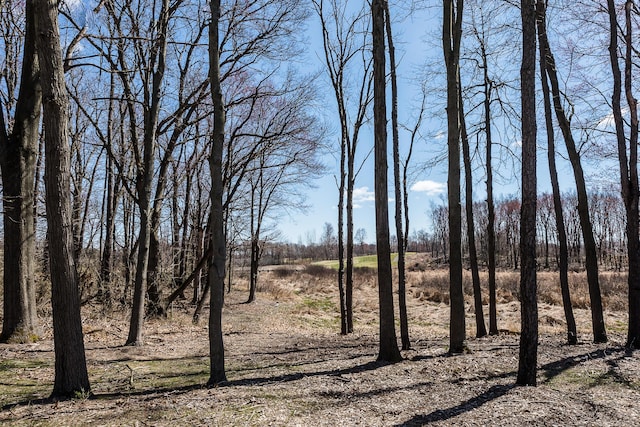 5215 Grande View Ln, Jackson, MI 49201 - view of nature