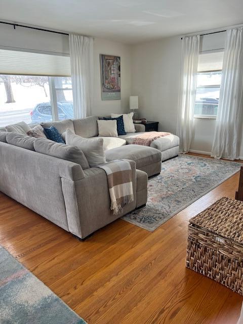 living room featuring light wood-style floors and a wealth of natural light
