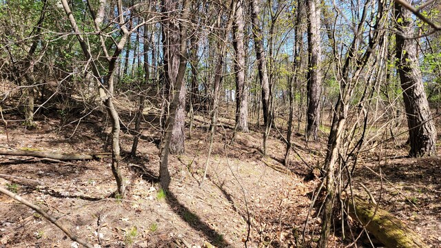 2180 Harwood Rd, Ionia, MI 48846
