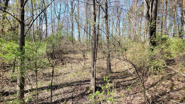 2180 Harwood Rd, Ionia, MI 48846