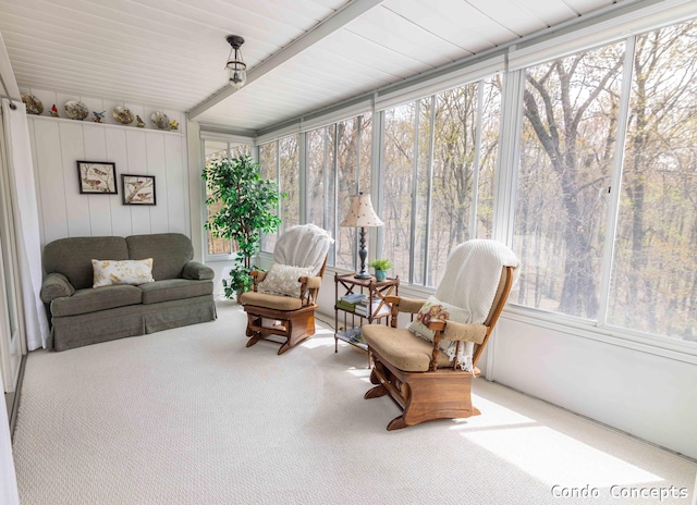 sunroom with carpet floors