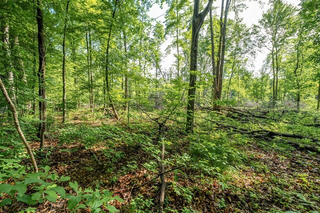 10703 E Shore Dr, Portage, MI 49002 - photo 2