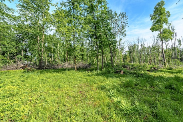 10703 E Shore Dr, Portage, MI 49002 - photo 3