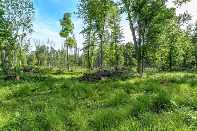 10703 E Shore Dr, Portage, MI 49002 - photo 4