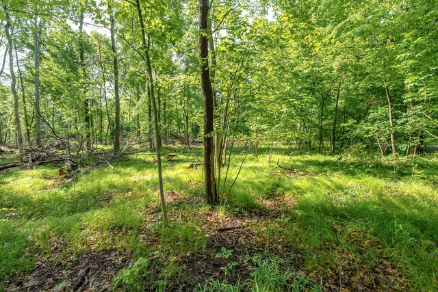 10703 E Shore Dr, Portage, MI 49002 - photo 5