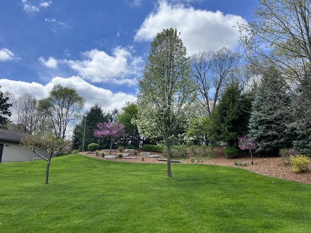 3817 Butterworth St SW, Grand Rapids, MI 49534 - view of grassy yard