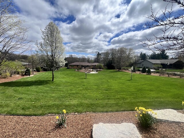 3817 Butterworth St SW, Grand Rapids, MI 49534 - view of grassy yard