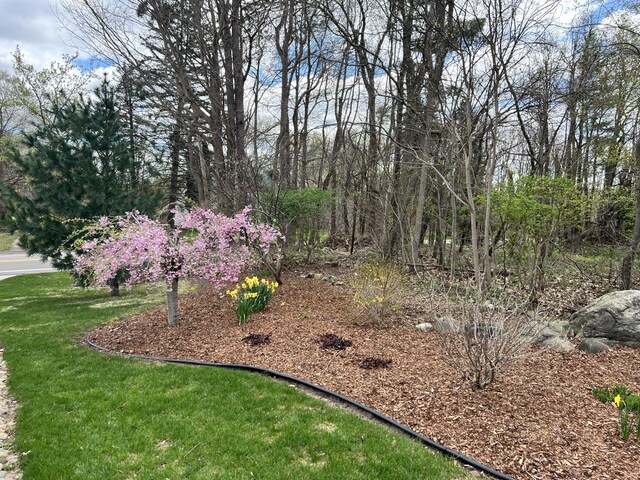 3817 Butterworth St SW, Grand Rapids, MI 49534 - view of grassy yard