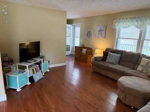 935 E 6th St, Pentwater, MI 49449 - living room with a healthy amount of sunlight, baseboards, a textured ceiling, and wood finished floors