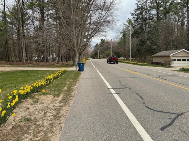 935 E 6th St, Pentwater, MI 49449 - view of road