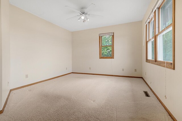 51156 Maple Rd, Marcellus, MI 49067 - photo 25