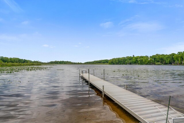 51156 Maple Rd, Marcellus, MI 49067 - photo 37