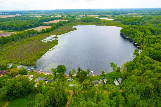 51156 Maple Rd, Marcellus, MI 49067 - photo 41