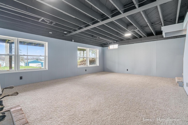 below grade area featuring carpet