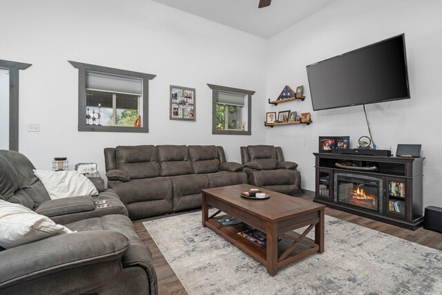 9528 Lee Rd, Jackson, MI 49201 - living area featuring a glass covered fireplace, ceiling fan, and wood finished floors