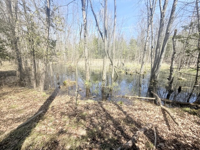 17639 N 20th Ave, Marion, MI 49665 - photo 8