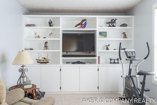 view of living area