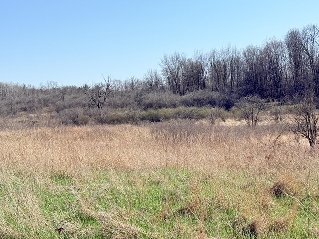 V/L Big Stone Lake Road, Evart, MI 49631 - photo 2