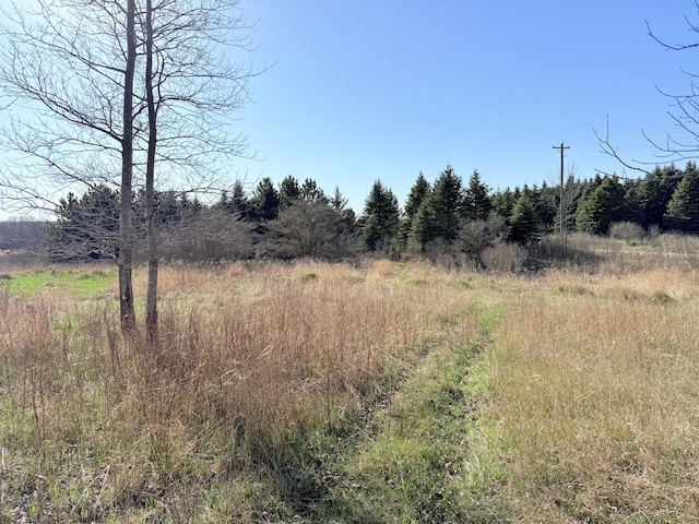 V/L Big Stone Lake Road, Evart, MI 49631 - photo 1