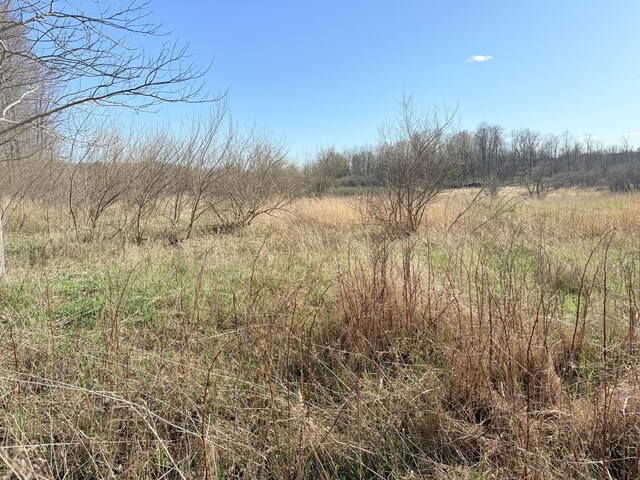 V/L Big Stone Lake Road, Evart, MI 49631 - photo 4