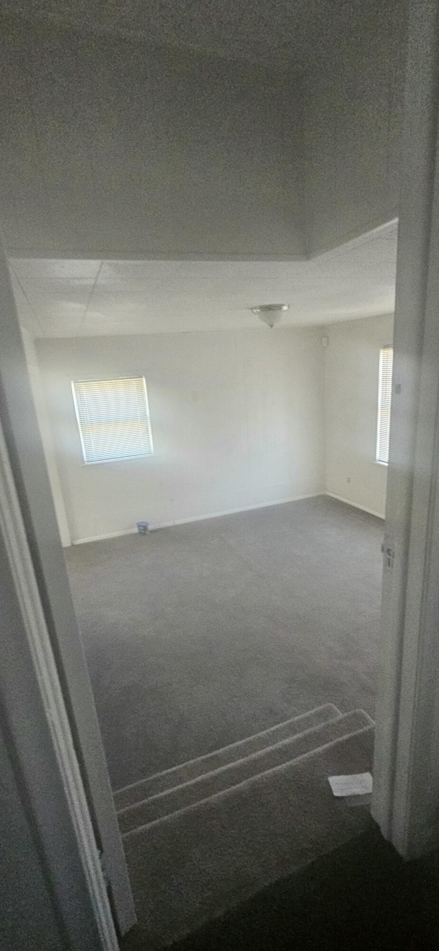 spare room featuring carpet flooring