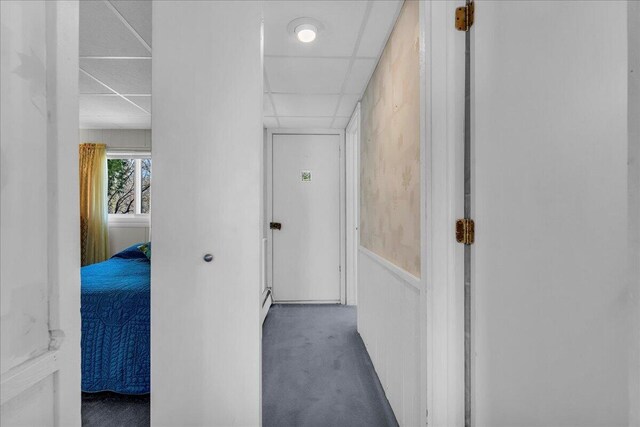 7226 Lakeview Dr, Lexington, MI 48450 - corridor with a drop ceiling and carpet floors