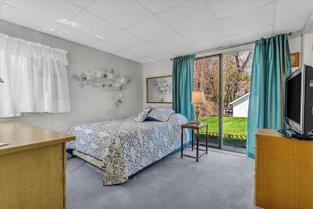 7226 Lakeview Dr, Lexington, MI 48450 - carpeted bedroom featuring a drop ceiling, access to exterior, and multiple windows