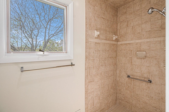 2038 S 7th St, Ann Arbor, MI 48103 - full bathroom with a tile shower