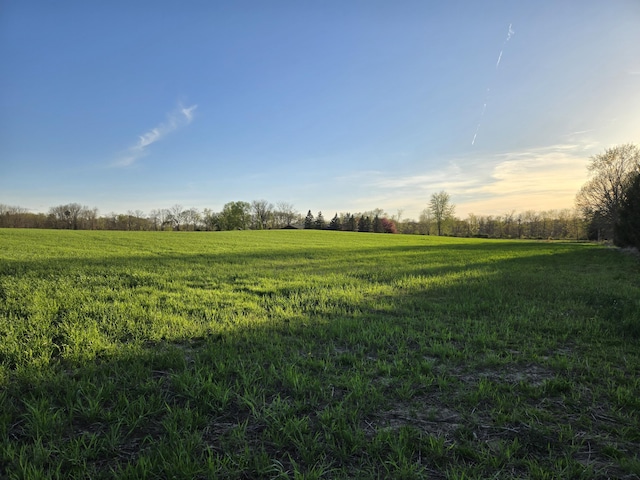 V/L Bonanza Road, Lake Odessa, MI 48849